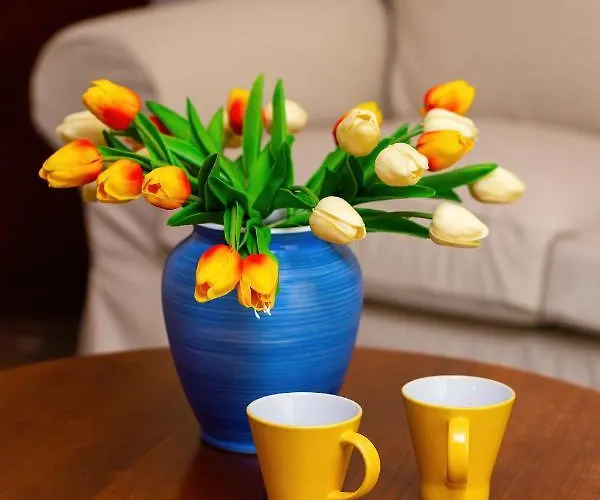 Mokotow Obrzezna By Renters Warsaw